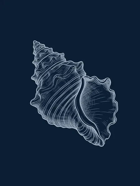 Blueprint line drawing of A Seashell, a symbolic gift for an AI